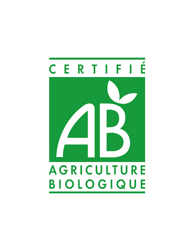 BETICAO BIO POT EN VERRE 800 GR